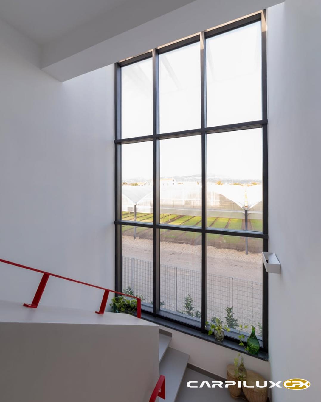 490121463_975431014573042_6811806147785345994_n